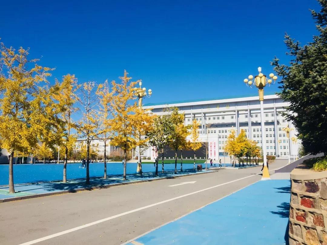 辽宁暖阳下的友情小事