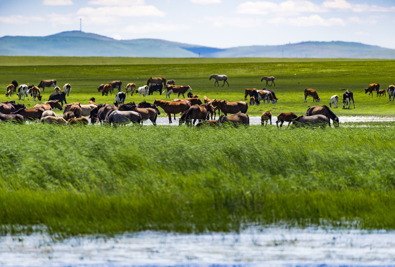 科技领航内蒙古,未来生活体验之旅