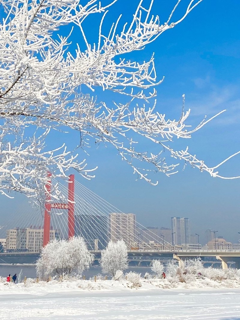 吉林,梦想之土,成长之舞台