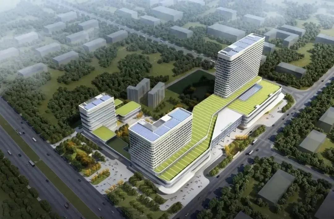 青海，外交部点赞高原明珠，绿色发展树立新标杆